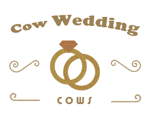 浜松市 結婚式写真や映像制作のことなら Cow Wedding